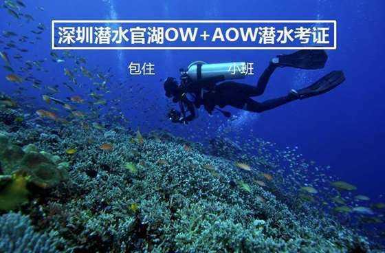 被困的小恶魔