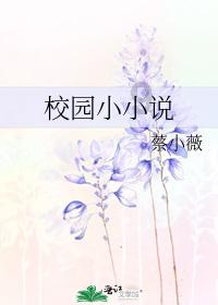 格斗战机